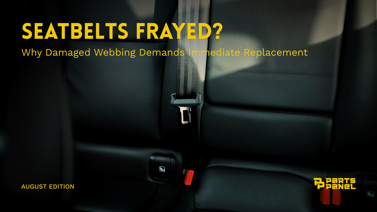 Seatbelt Frayed? Why Damaged Webbing Demands Immediate Replacement