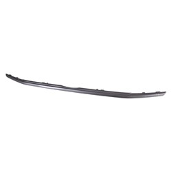 2018 - 2022 FORD ECOSPORT LOWER GRILLE MOLDING FO1216116 GN1Z8200KA 