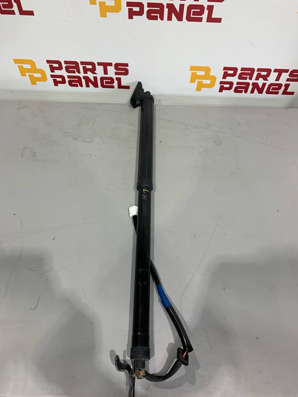 Power Liftgate Strut Driver Side LH OEM
