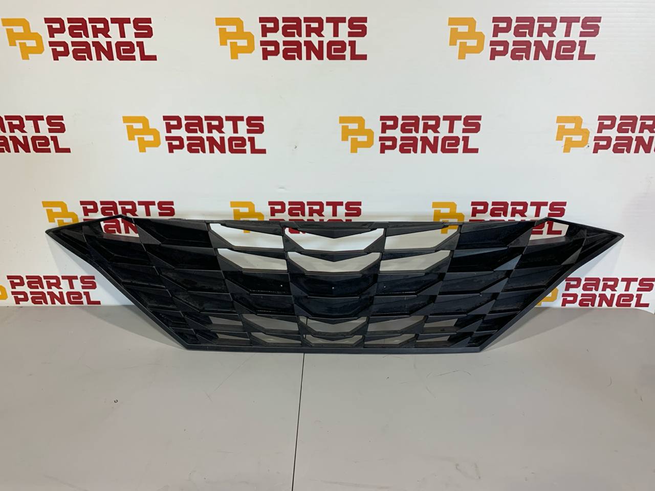 2021-Present Hyundai Elantra Front Bumper Grille OEM