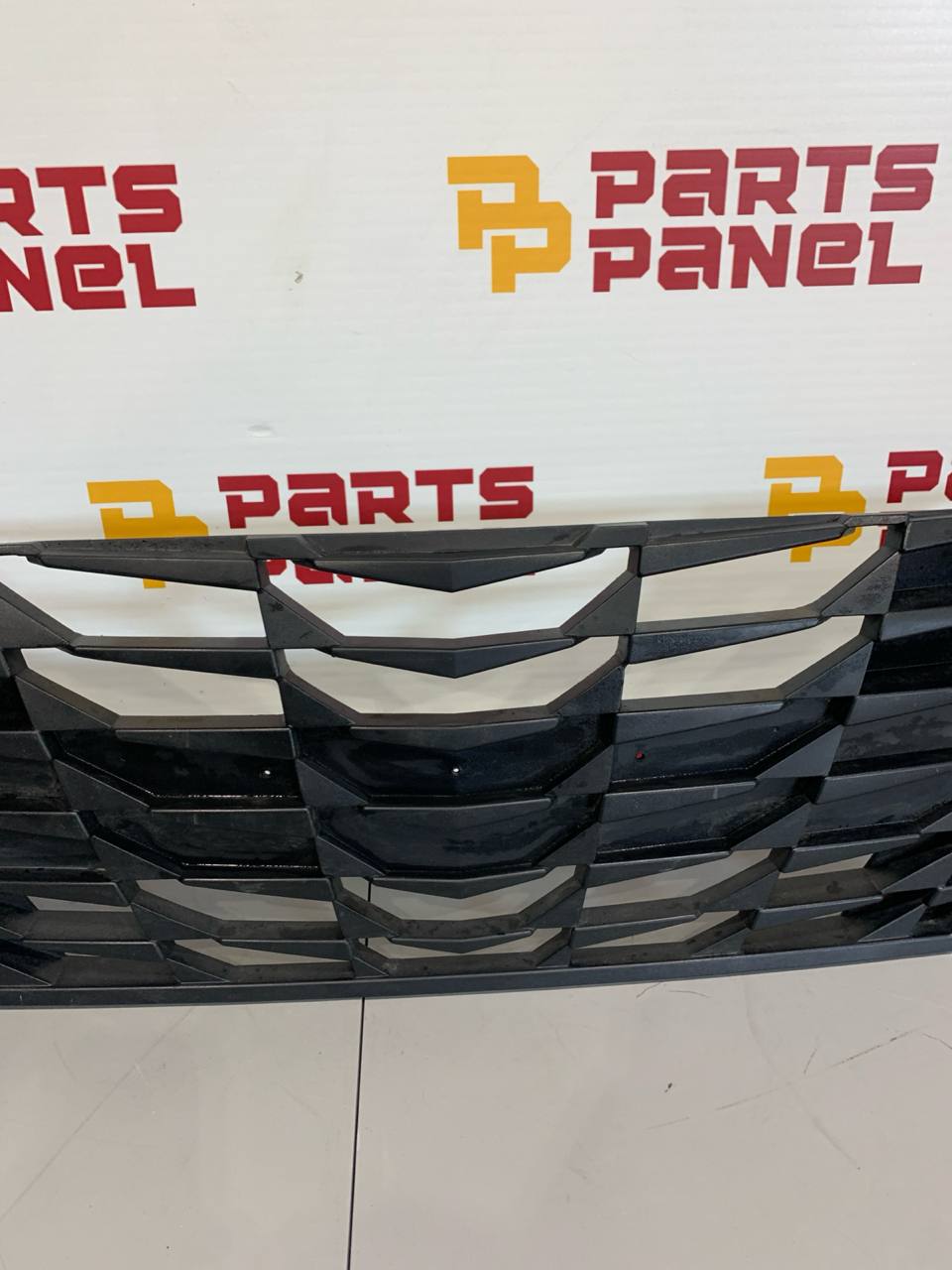 2021-Present Hyundai Elantra Front Bumper Grille OEM