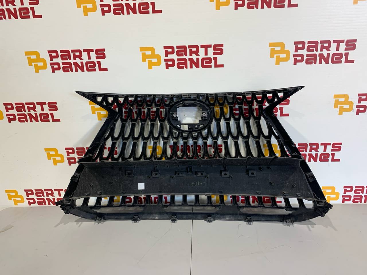 2022-2024 Lexus NX 250 Front Grille OEM
