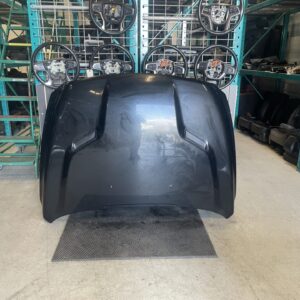 2009 - 2023 RAM 1500 HOOD 68160235AE